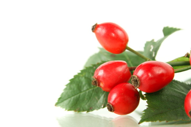 Interfat Organic Rosehip Oil 