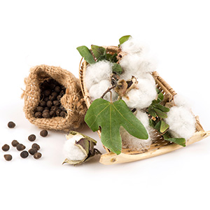 USP COTTON SEED OIL