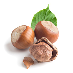 ORGANIC HAZELNUT OIL