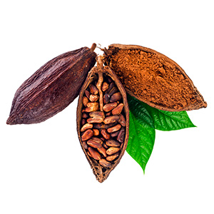 BEURRE DE CACAO RAFFINÉ