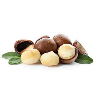 ORGANIC MACADAMIA OIL