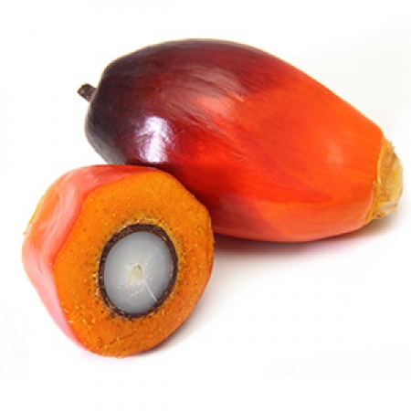 Hydrogenated palm oil