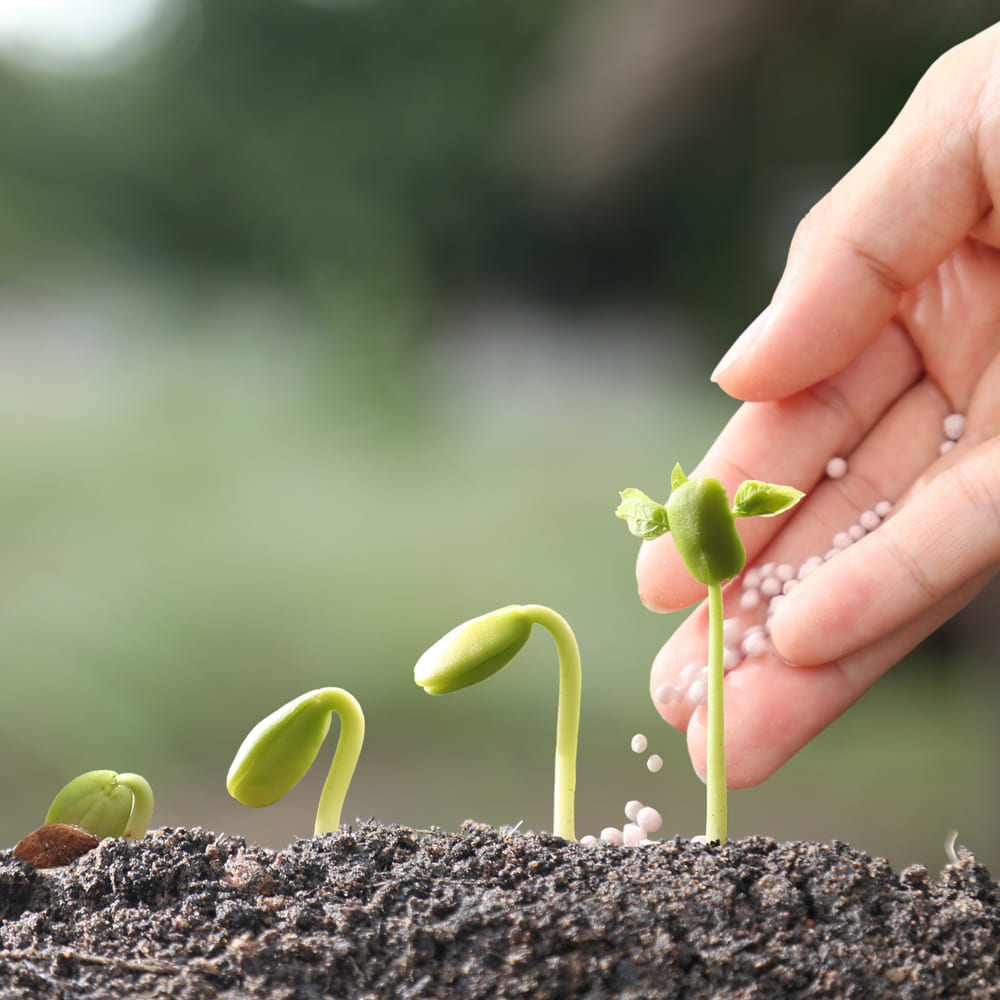 Crop Protection